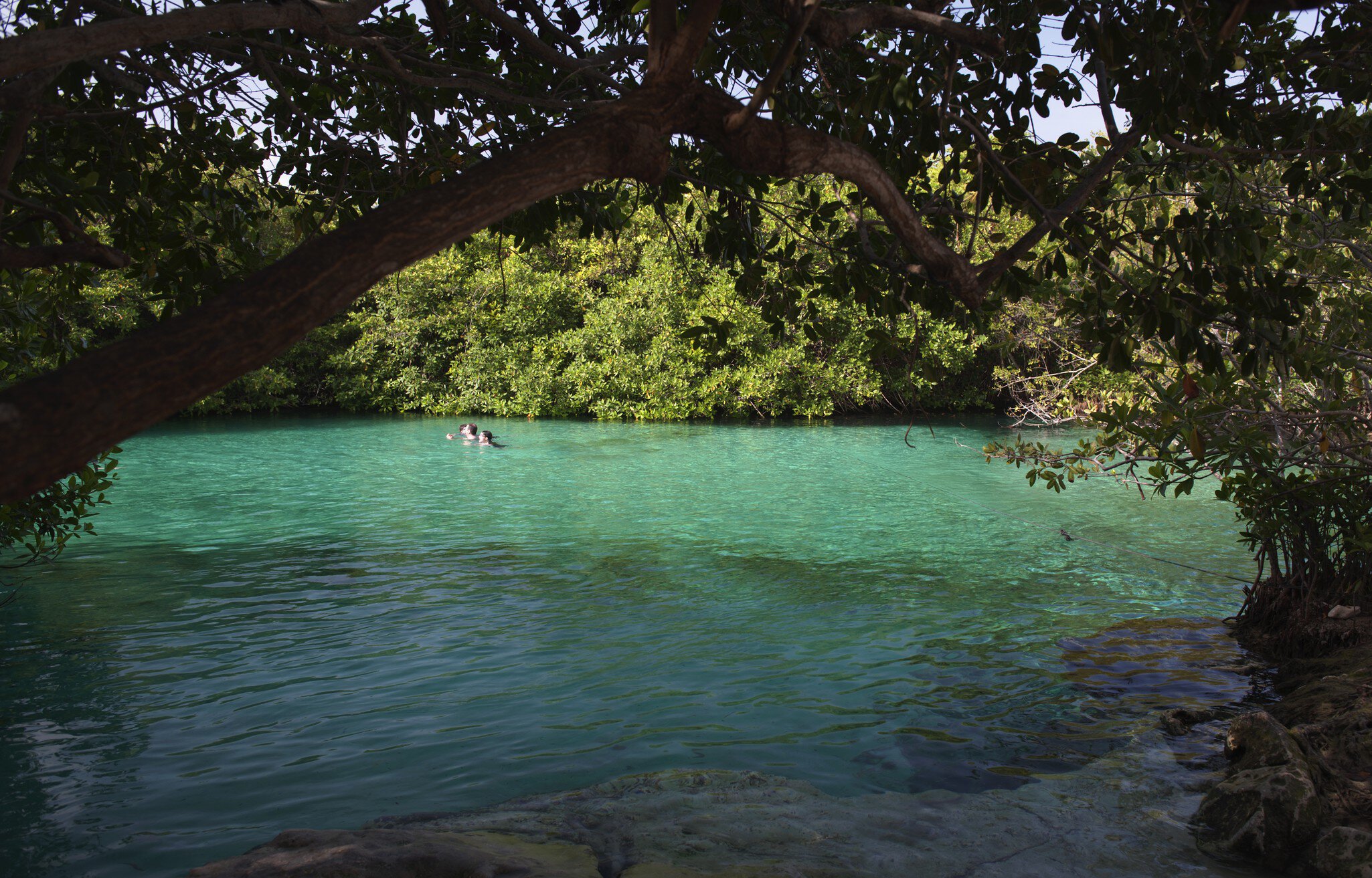 The Casa Cenote (Cenote Manati) in Tankah Bay, Quintana Roo, Mexico