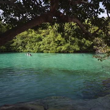 The Casa Cenote (Cenote Manati) in Tankah Bay, Quintana Roo, Mexico