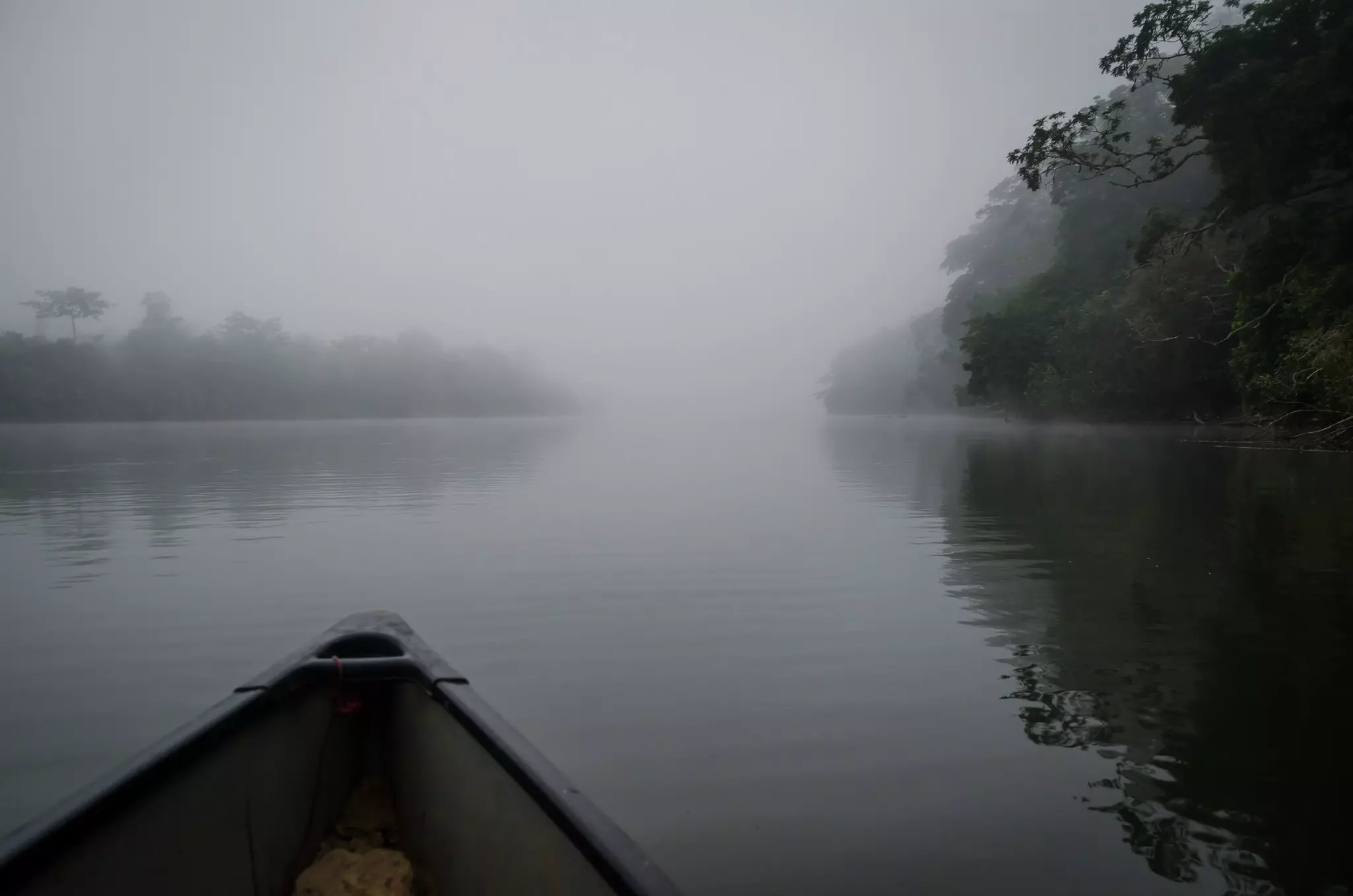 The prow of a canoe is seen on a misty river through a rainforest.