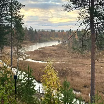 A view over trees and water on a misty morning in Finnish Lapland in fall. 