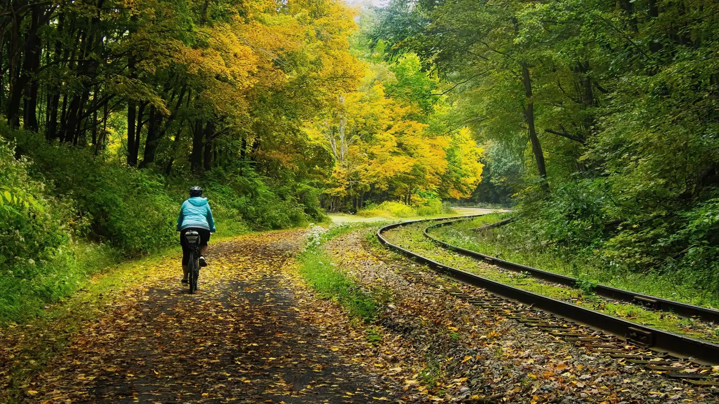 Cyclists in the beautiful autumn scenery