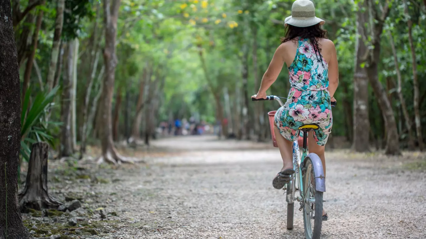 A woman rides a bike down a tree-lined path