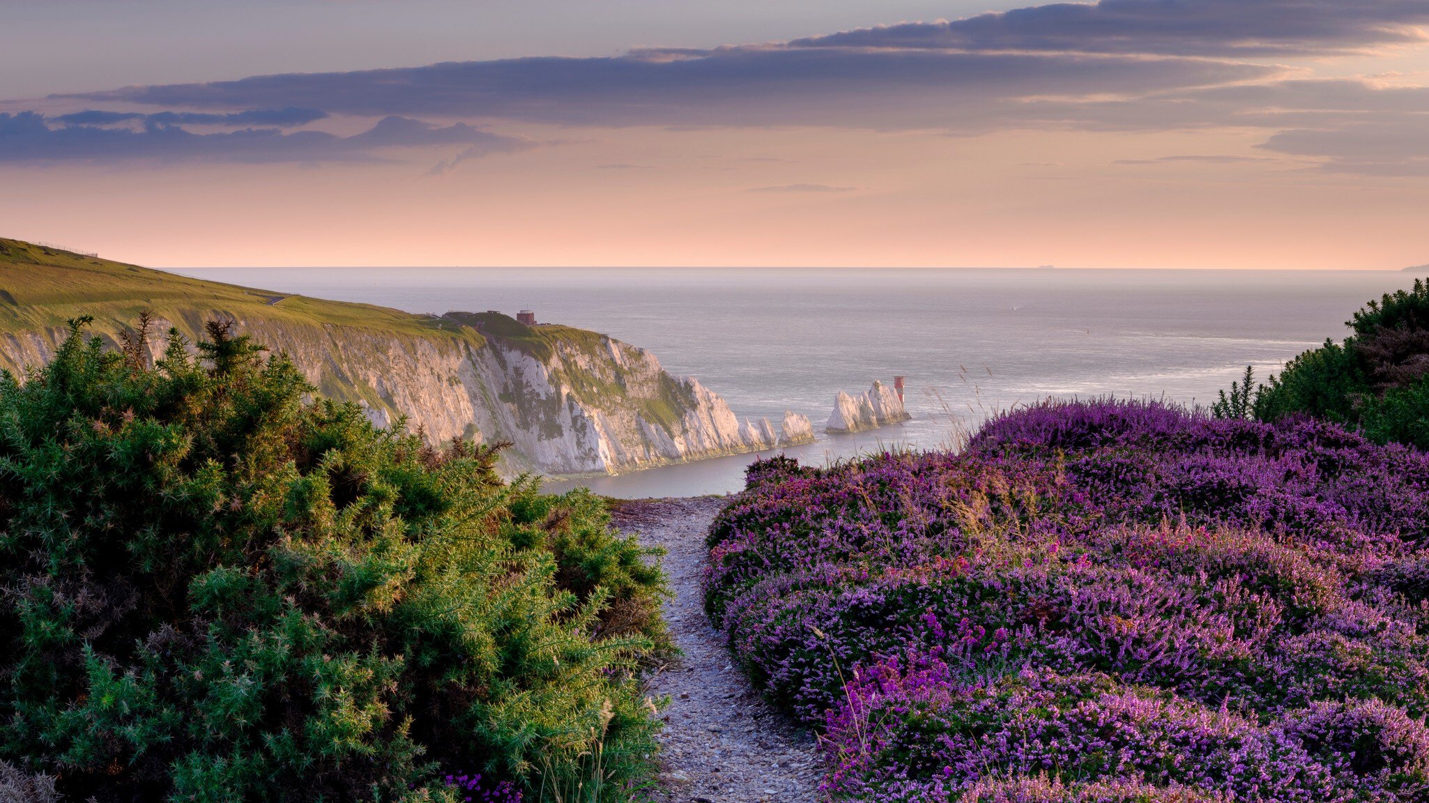 Path through purple heather on Headon Warren toward the Needles chalk stacks and lighthouse, Isle of Wight, at dusk