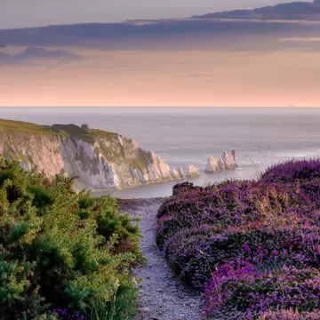 Path through purple heather on Headon Warren toward the Needles chalk stacks and lighthouse, Isle of Wight, at dusk