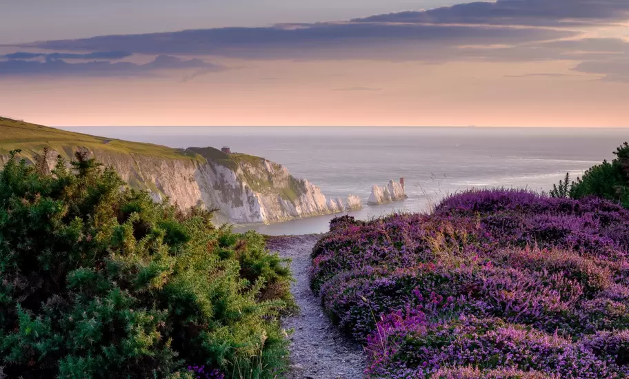 Path through purple heather on Headon Warren toward the Needles chalk stacks and lighthouse, Isle of Wight, at dusk