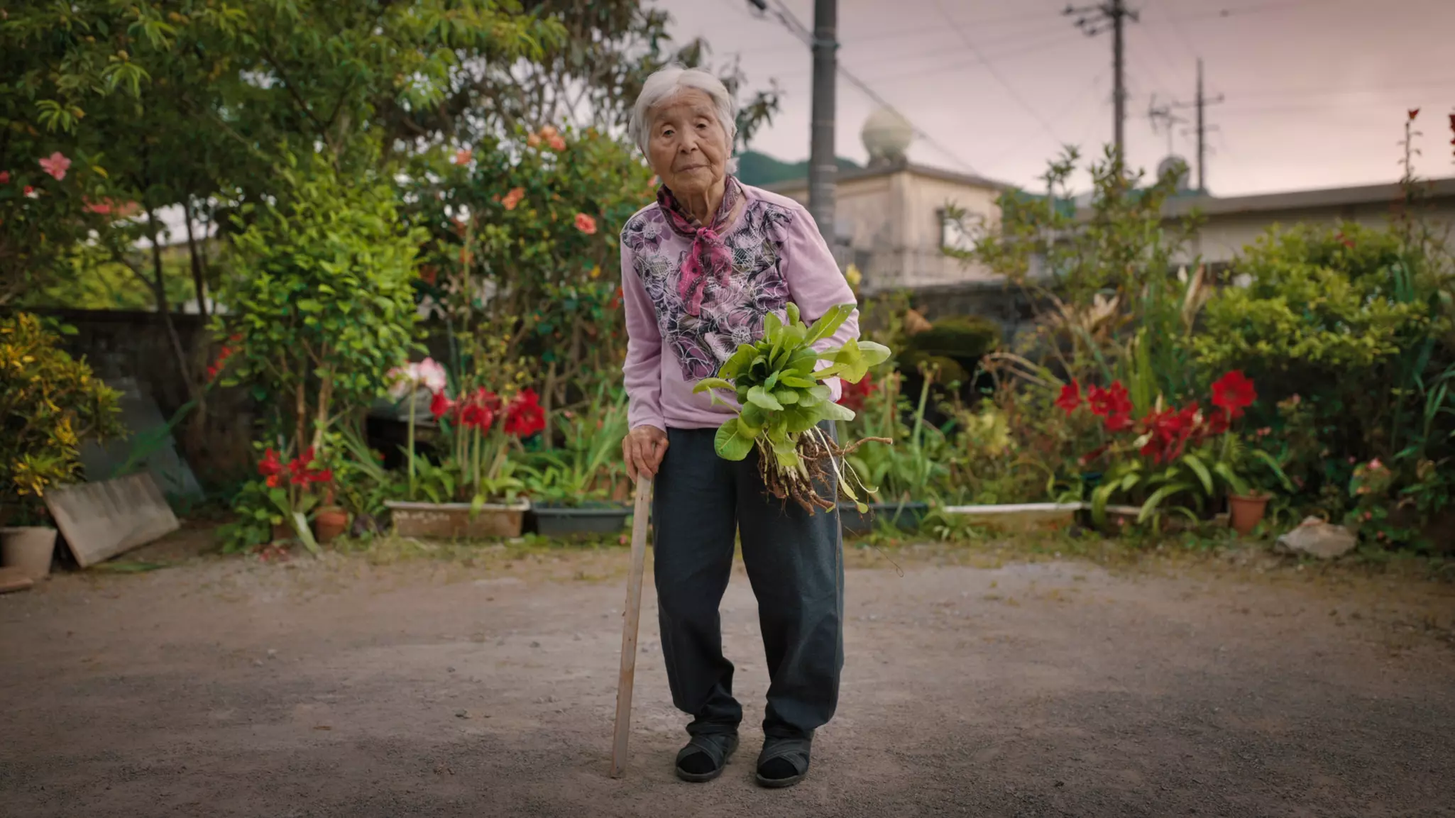 Tending to their vegetable garden contributes to the longevity of Okinawans © courtesy of Netflix