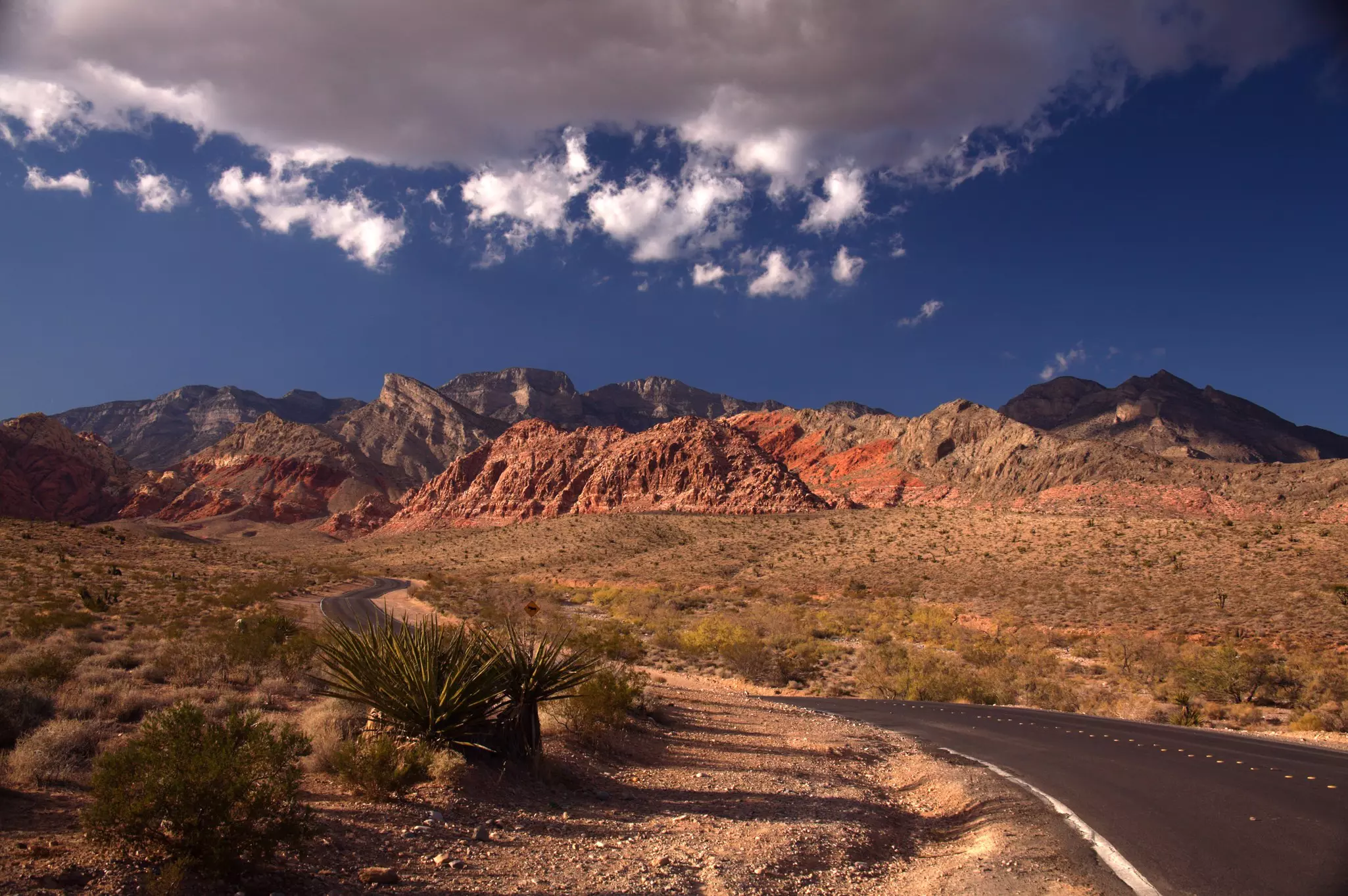 Take the one-way scenic loop around Red Rock Canyon © Jerry Alexander / Lonely Planet