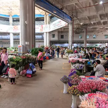 GettyImages-613840926.jpg
People at the Kunming Dounan Flower Market the biggest flower market in Asia