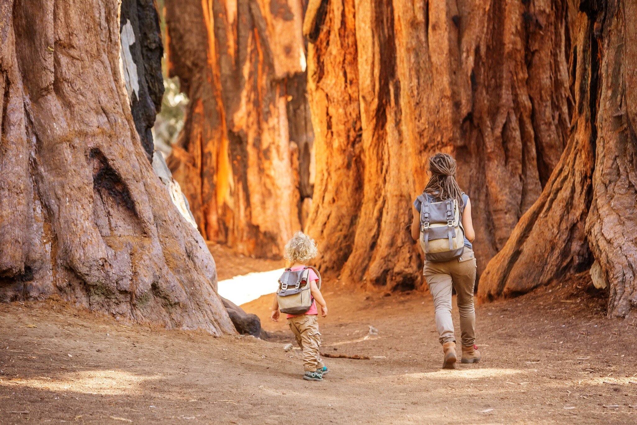 A mother and daughter hike through the Giant Forest in Sequoia National Park.