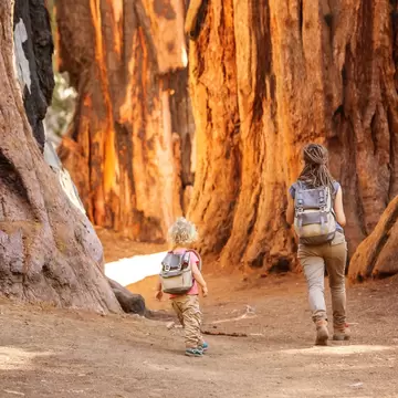 A mother and daughter hike through the Giant Forest in Sequoia National Park.