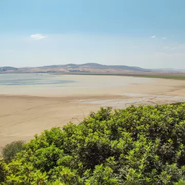 Wide lake shore with cracked pale mudflats and green marsh, shrubs in the foreground and brown hills across the water
