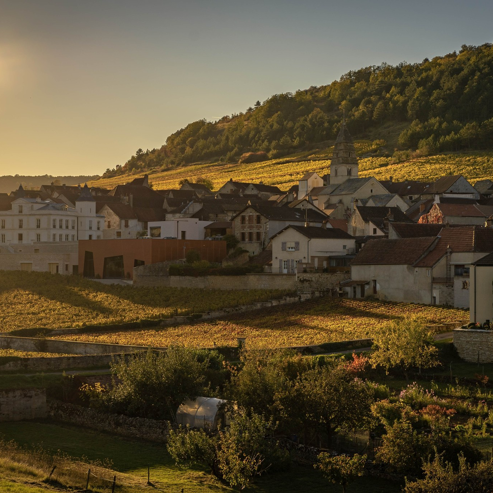 Explore France's wine regions