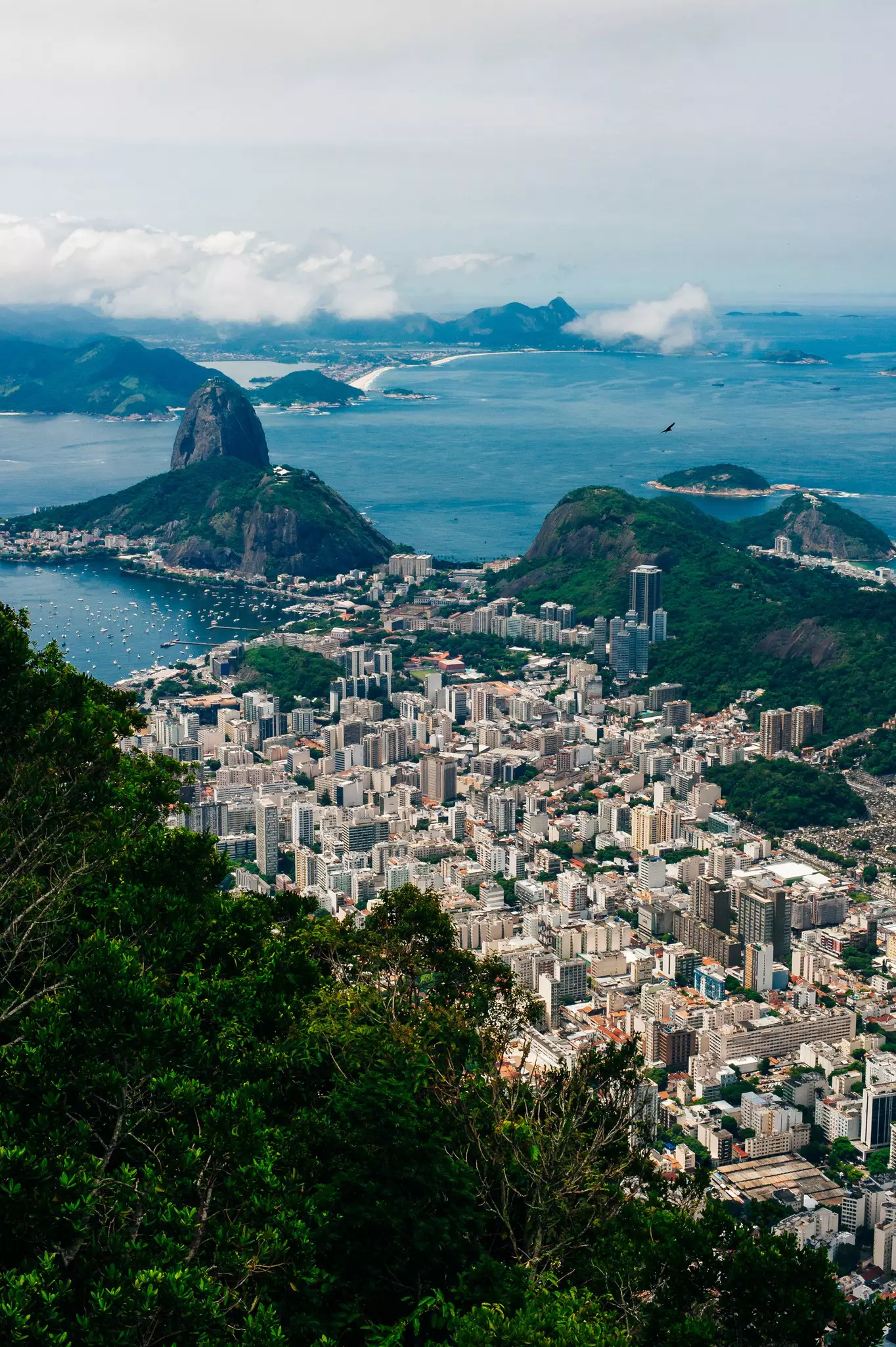 A dense neighborhood of tall buildings wedged between hillsides and the shore seen from above.