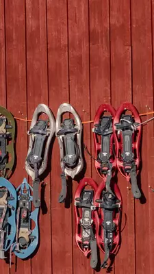 A striking pattern of diverse snowshoes hangs neatly on the textured, rustic red wall of a traditional building in Abisko, Sweden. Lapland, Skandinavia, License Type: media, Download Time: 2025-12-02T19:18:12.000Z, User: Sarahstocking, Editorial: false, purchase_order: 65050 - Digital Destinations and Articles, job: Digital, client: Dream trips, other: Sarah Stocking