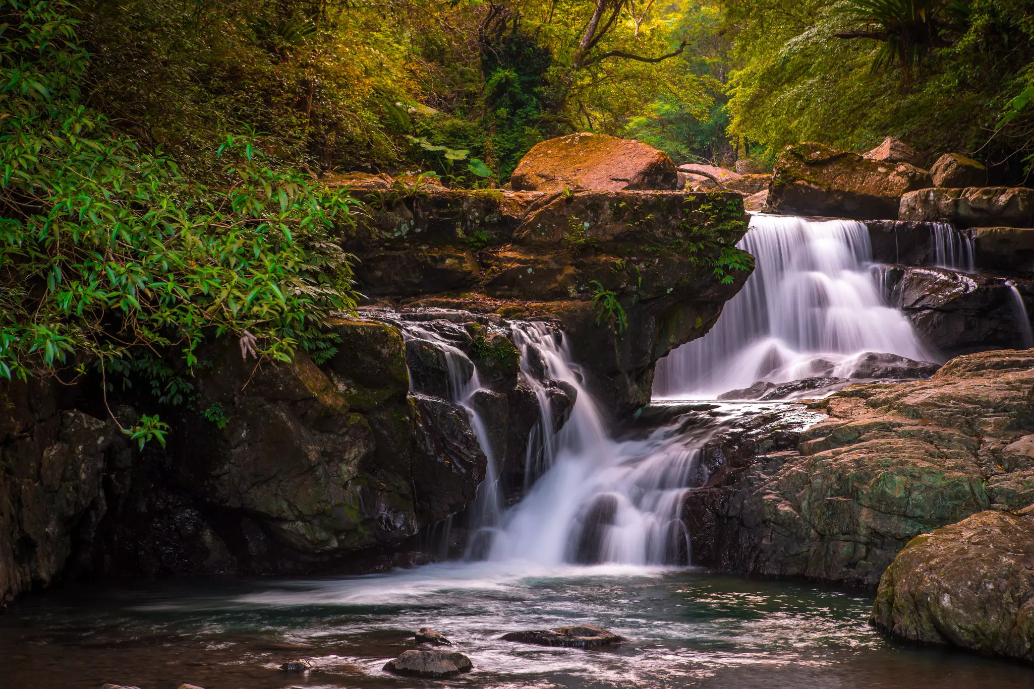 Serene forest bathing is the lure at Manyueyuan National Forest Recreation Area © YCBanana / Shutterstock