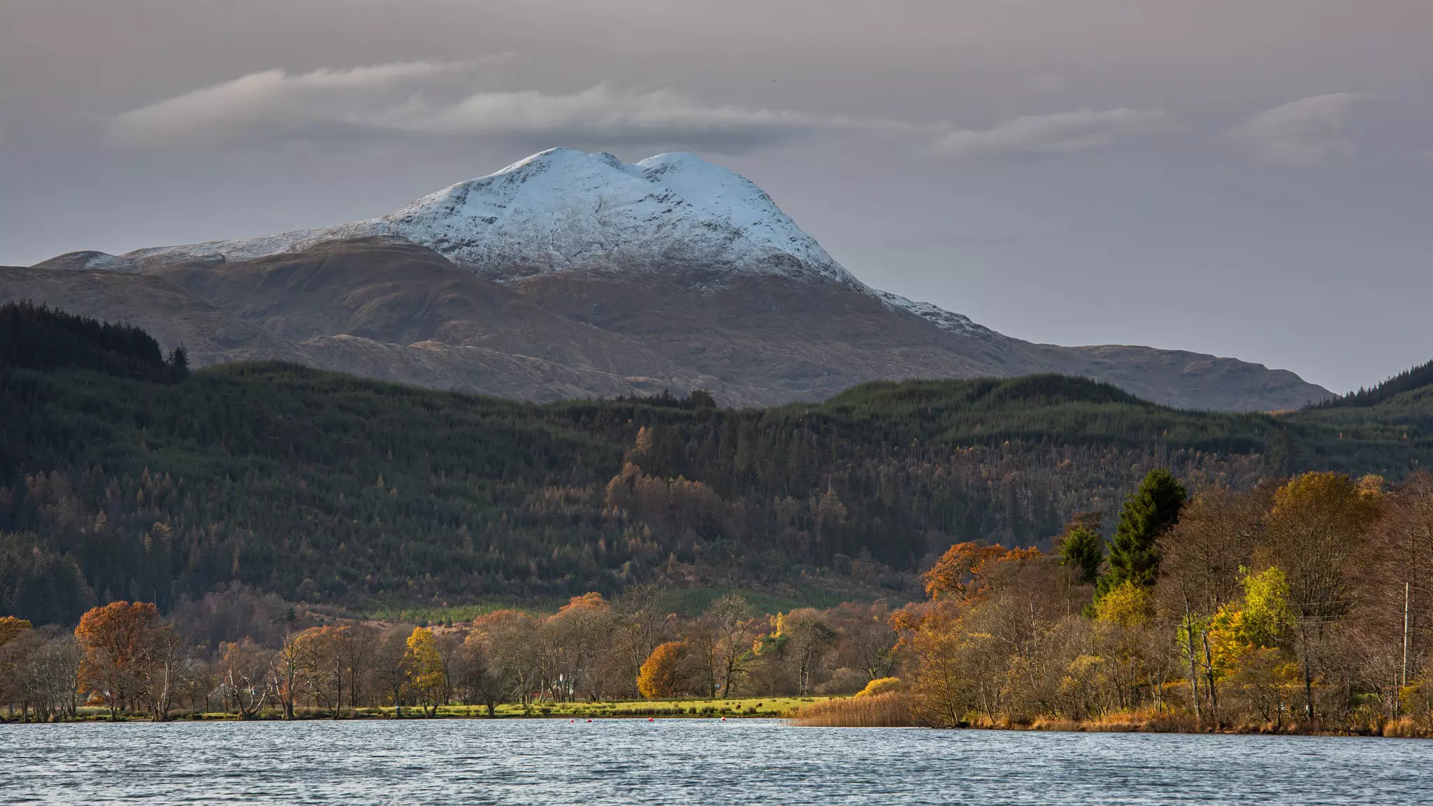 Looking across Loch Ard in the Scottish Highlands to the snowy summit of Ben Lomond, Loch Lomond & The Trossachs National Park, Scotland.