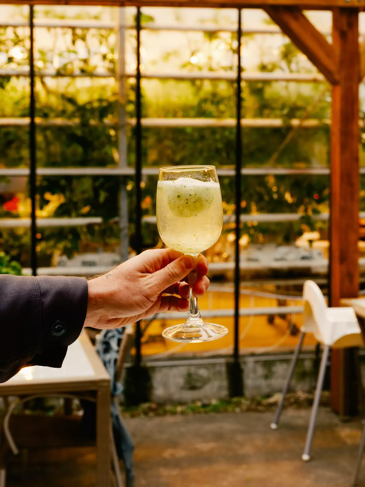 A hand holding a drink with ice in it in a wine glass inside a greenhouse