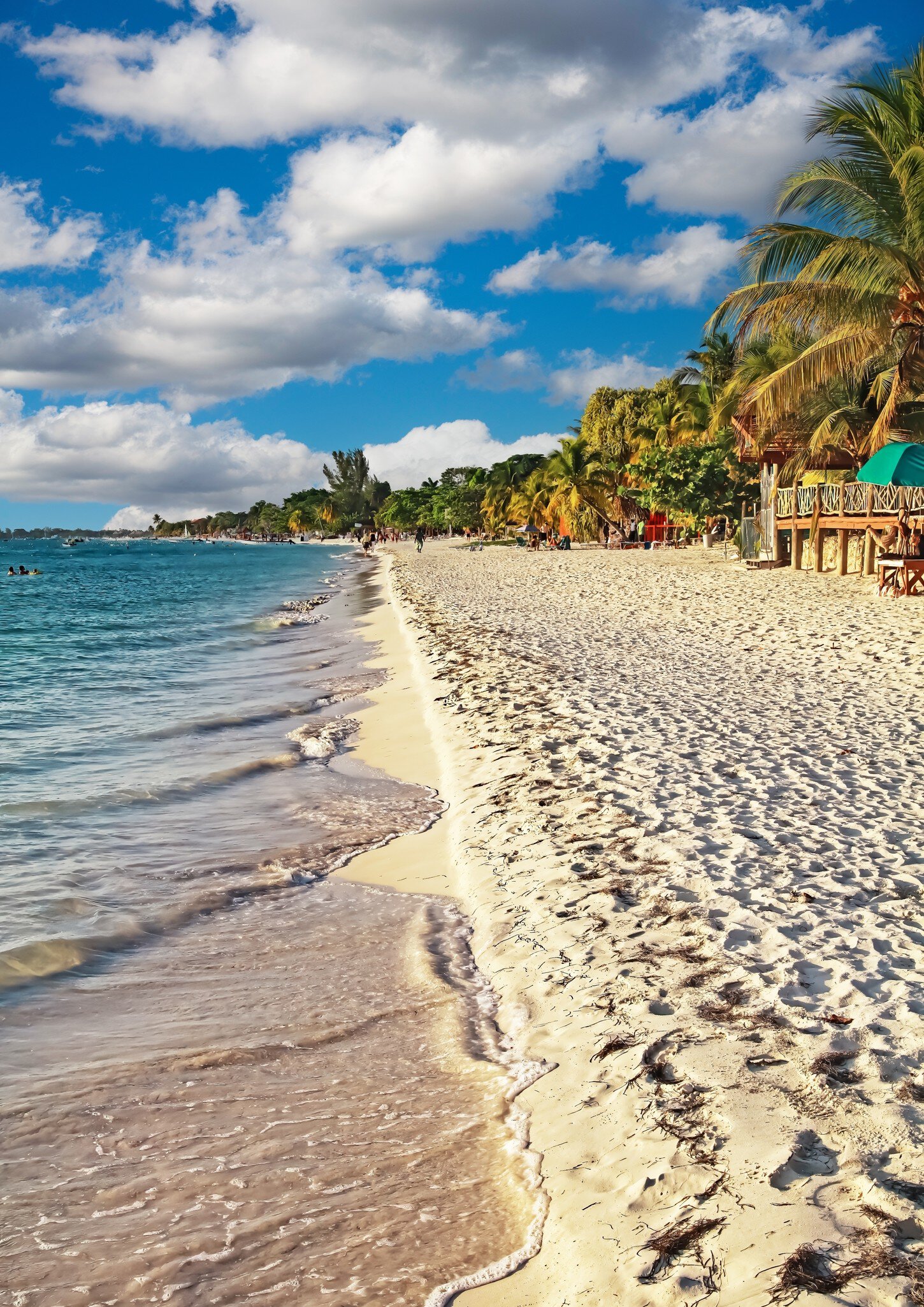 Beautiful tropical relaxing caribbean white sand paradise beach, green trees - Negril, Jamaica, Seven Mile Beach  License Type: media  Download Time: 2023-08-12T14:44:35.000Z  User: Eointloughney87  Is Editorial: No  purchase_order:   