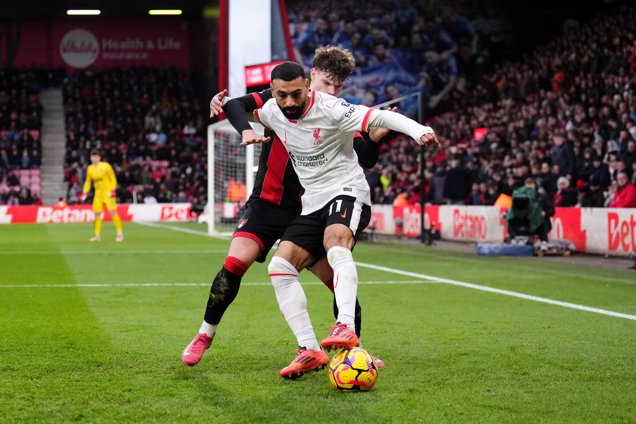 A headshot of a white man with purple hair. He's wearing a patterned shirt, pink bowtie and dark-rimmed glasses, and is smiling at the camera