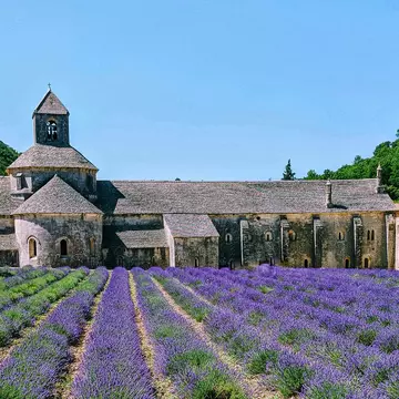 Abbey with lavender fields, Senanque, Provence, France, tourist attraction
