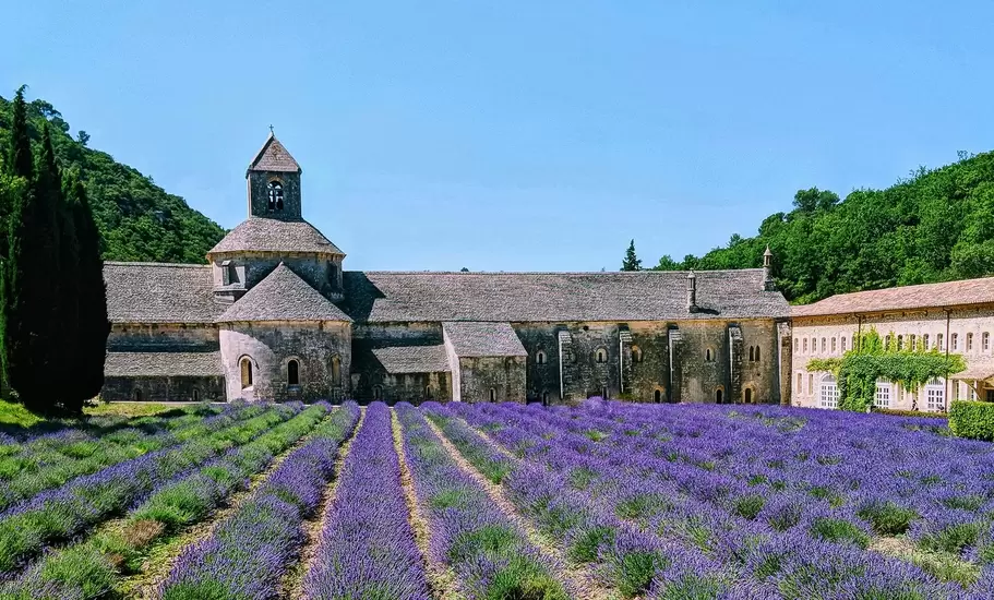 Abbey with lavender fields, Senanque, Provence, France, tourist attraction