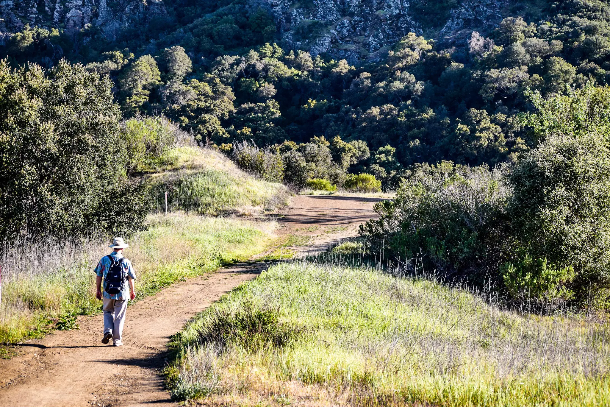 A person walking on a dirt path between areas of dense vegetation.