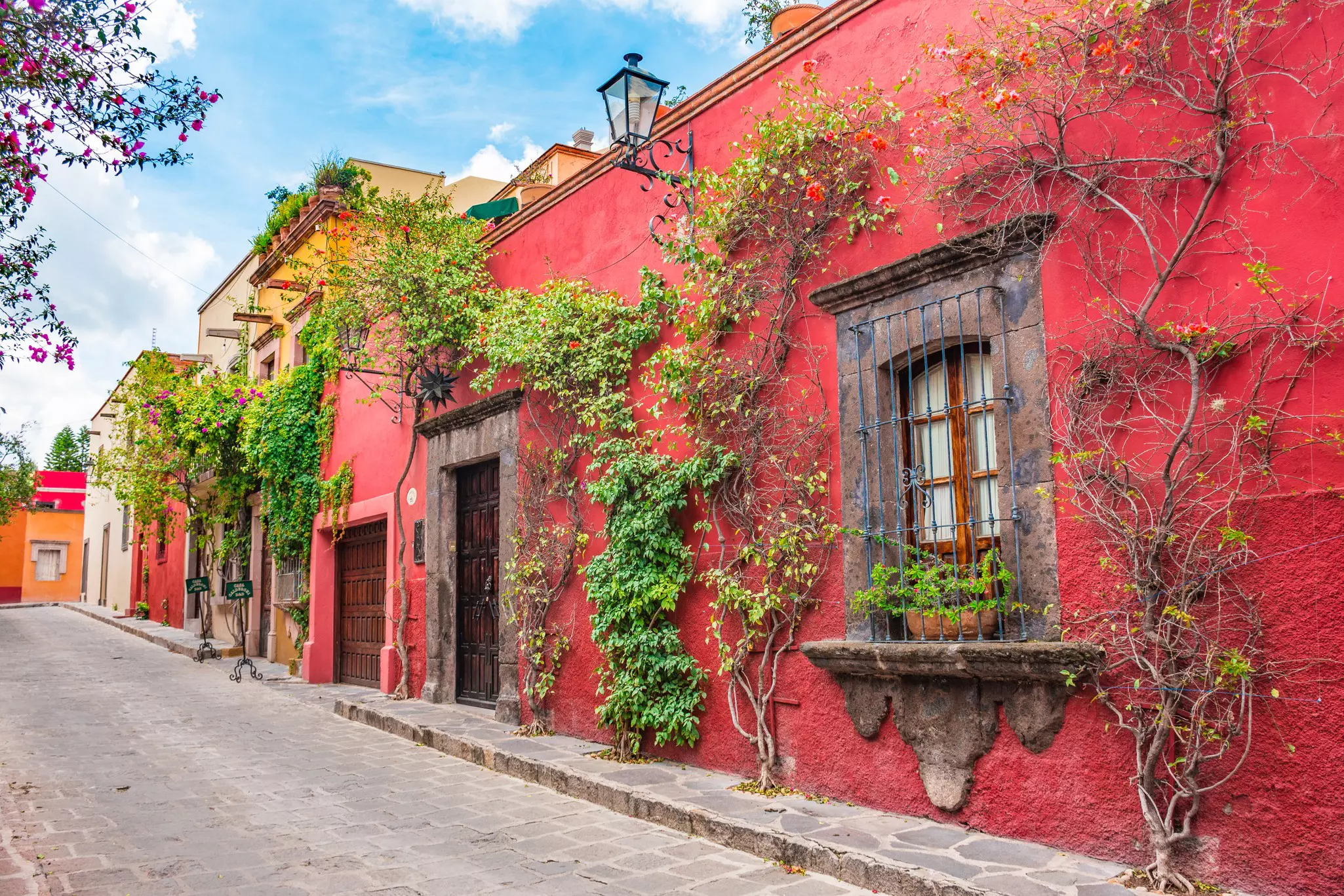 Cobblestone street lined with deep red houses partially covered in green vines on a sunny day.