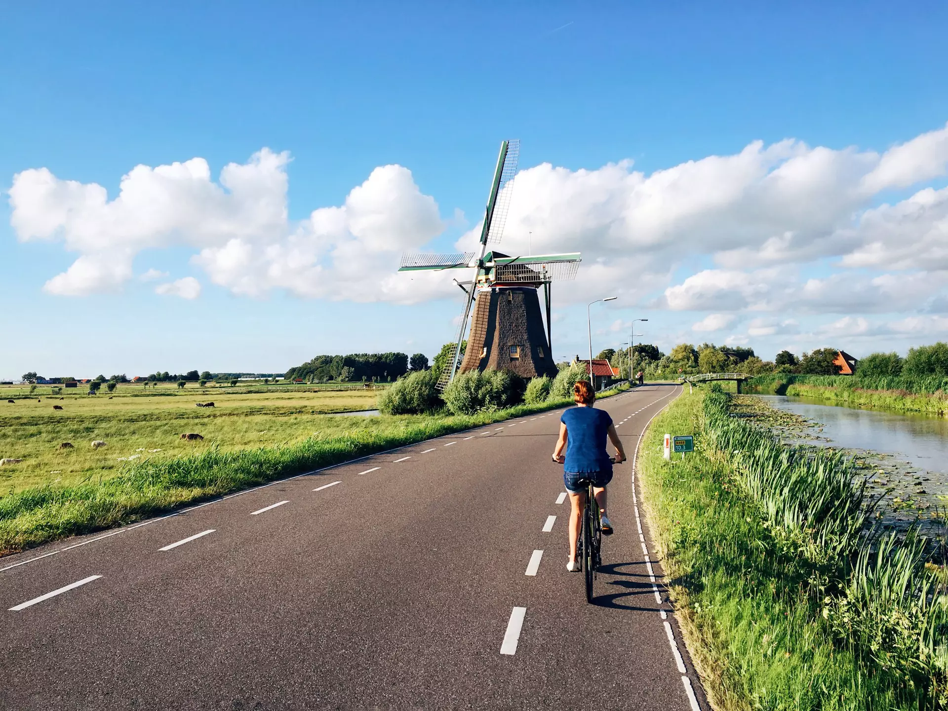 Ample cycle lanes and flat terrain make the Netherlands a dream to explore by bike © Alexander Spatari / Getty Images