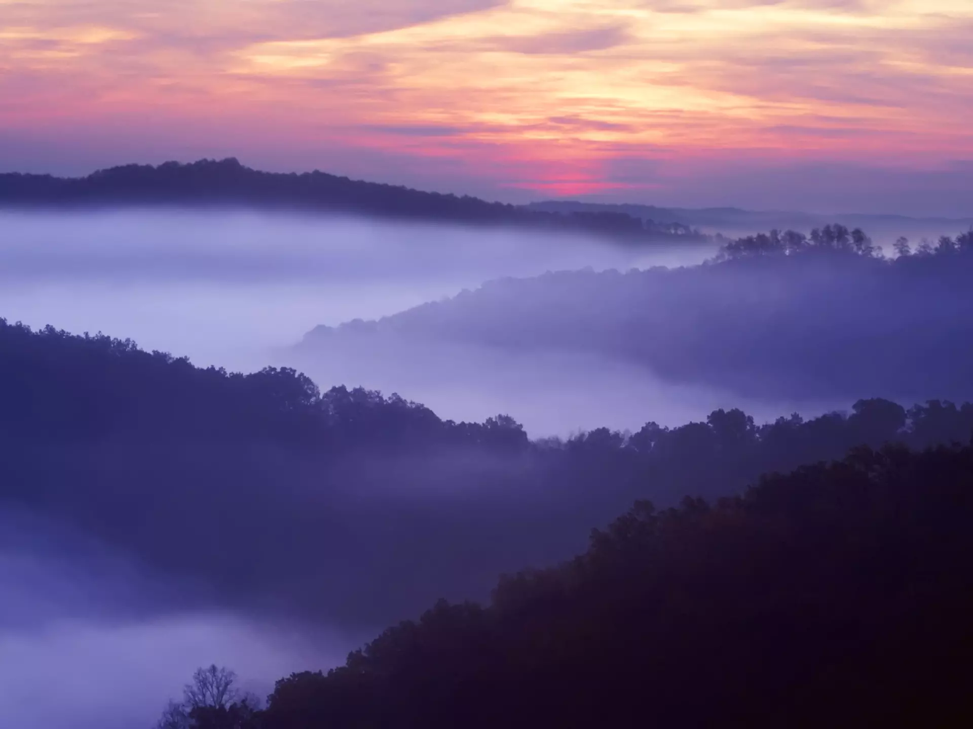 Sunrise in the layed mountains off Auxier Ridge in the Red River Gorge area of the Daniel Boone National Forest.
52294537
auxier ridger, daniel boone national forest, early morning, fog, forest, horizontal, kentucky, ky, layered mountains, morning, peacefull, red river gorge, ridge, sunrises, trees, united states, us, usa, valley