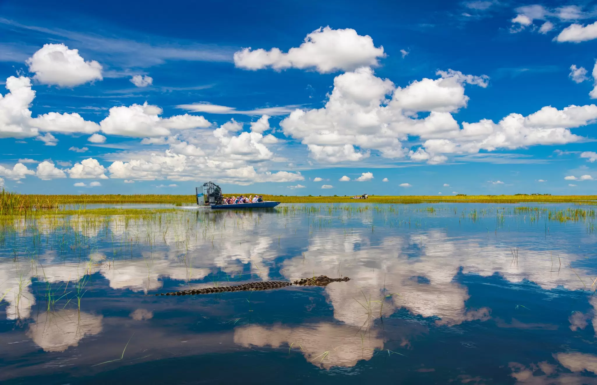 An airboat speeding across Everglades National Park in Florida. allouphoto/Shutterstock