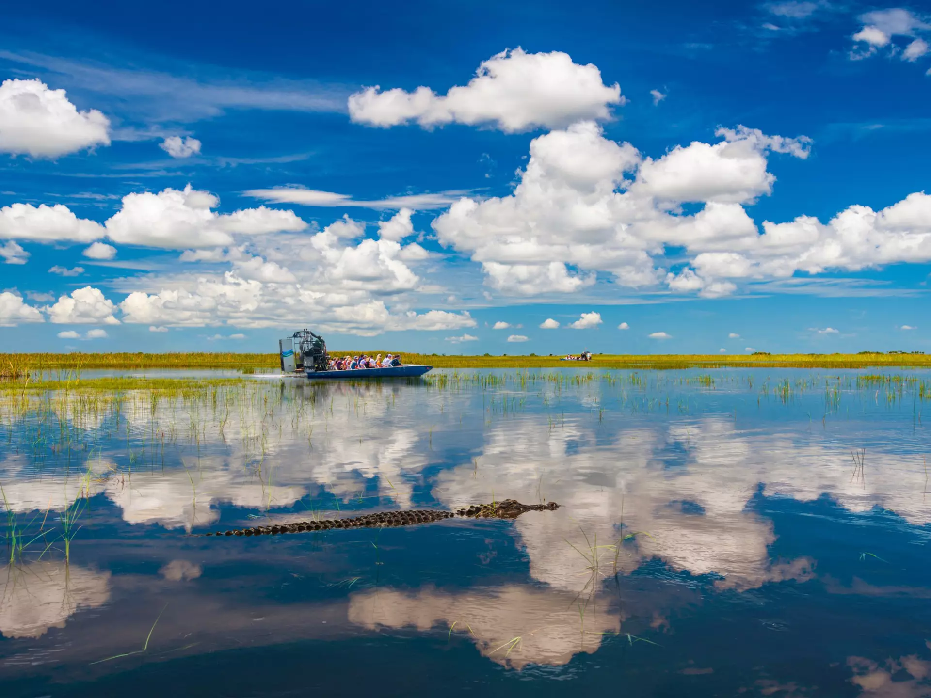 An airboat speeding across Everglades National Park in Florida. allouphoto/Shutterstock