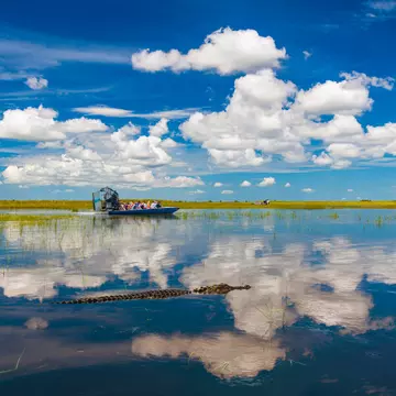 An airboat speeding across Everglades National Park in Florida. allouphoto/Shutterstock