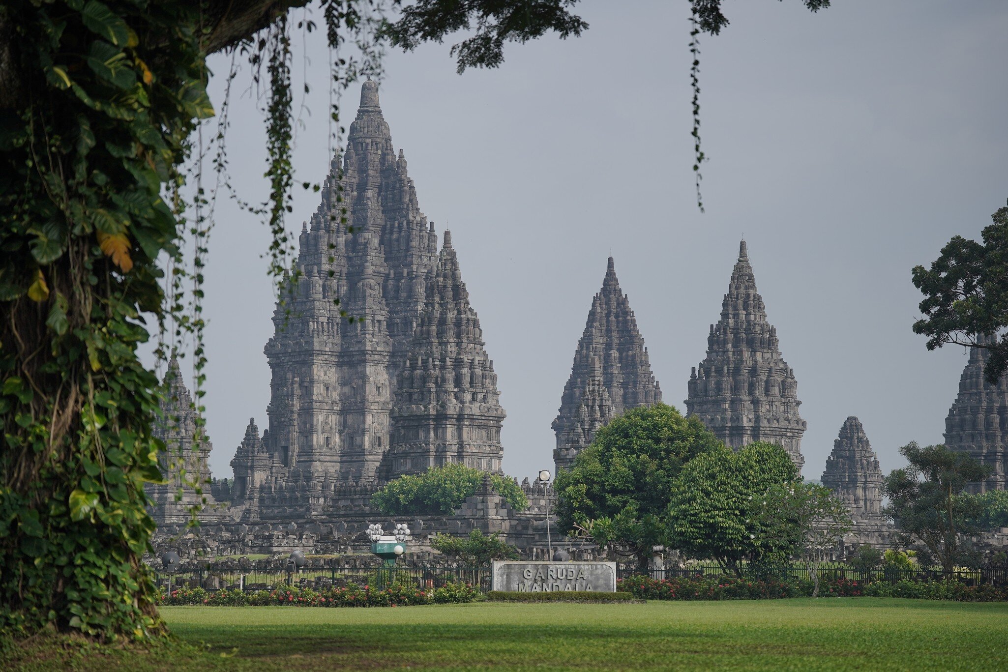 A view of elaborately carved temple towers at dawn is framed by tree branches with vines, Prambanan Temple Complex, near Yogakarta, Java, Indonesia