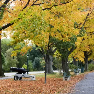 Battlefields Park