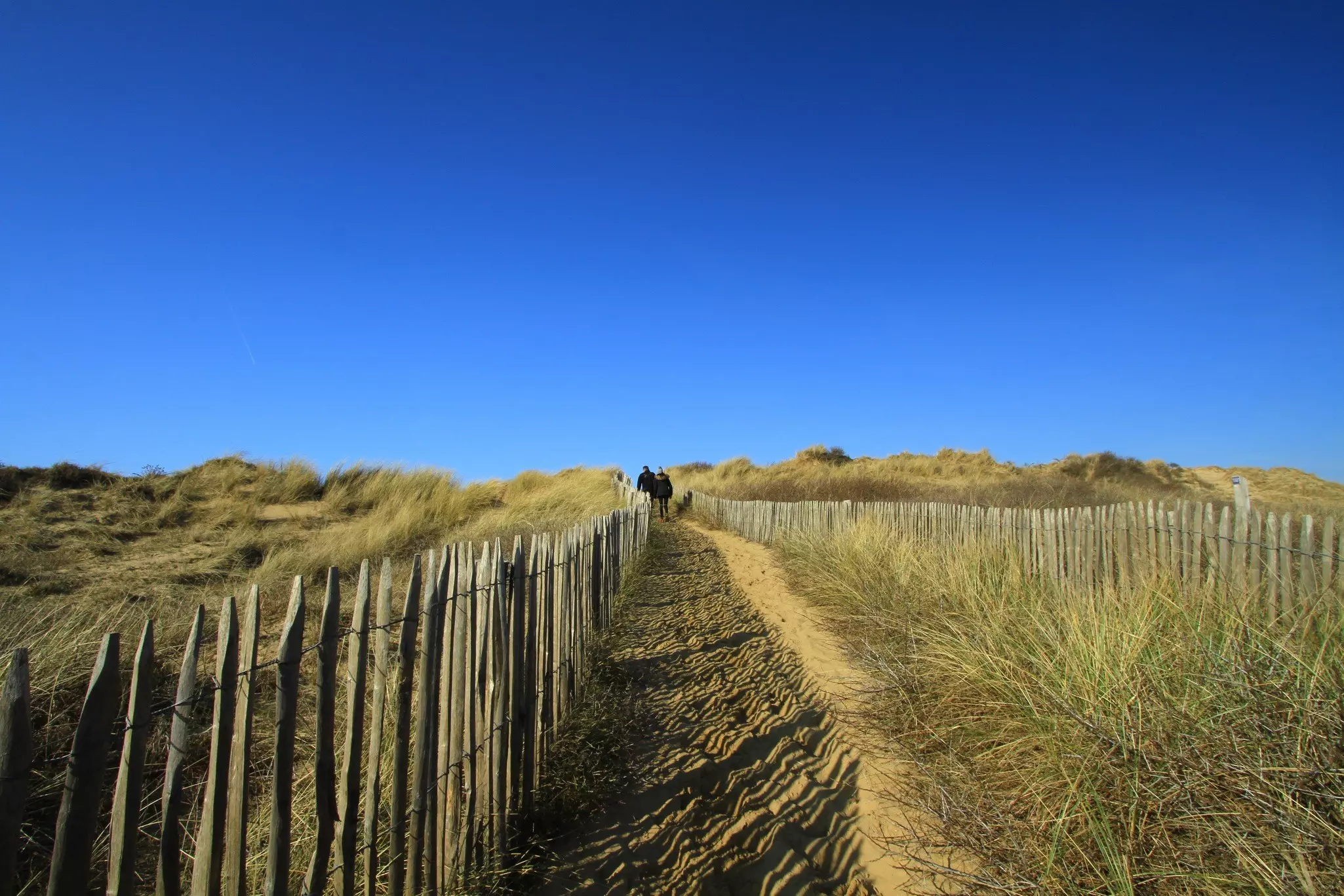 The Côte d’Opale’s glorious dunes cry out to be explored © sofifoto / Shutterstock