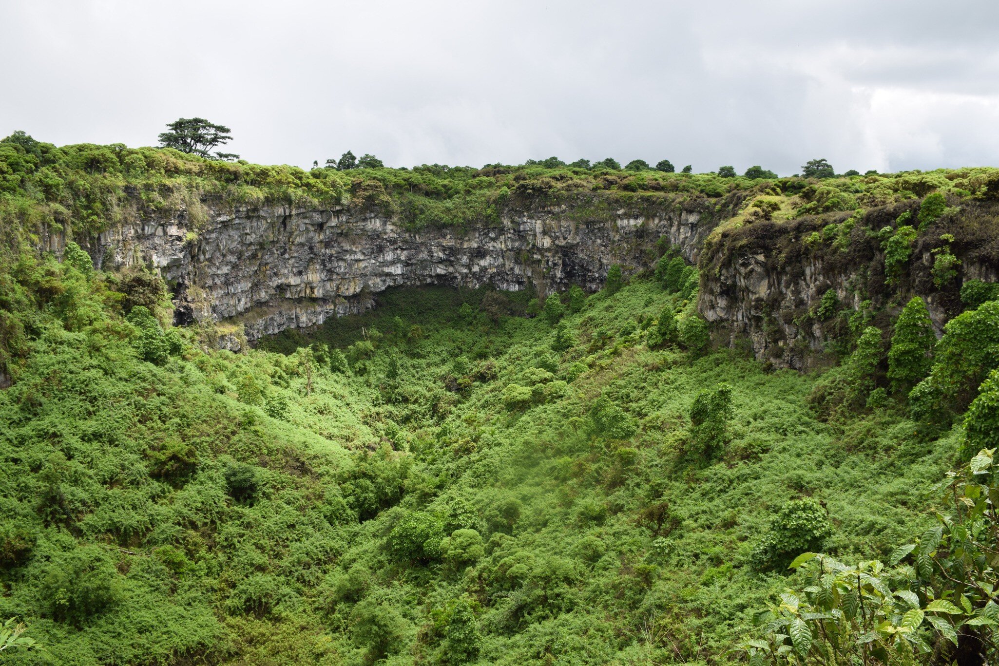 Lush forested twin sinkholes called Los Gemelos in the Galapagos Islands, Ecuador.