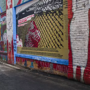 A woman stops to look at the colorful murals in Clarion Alley in the Mission neighborhood, San Francisco, California, USA