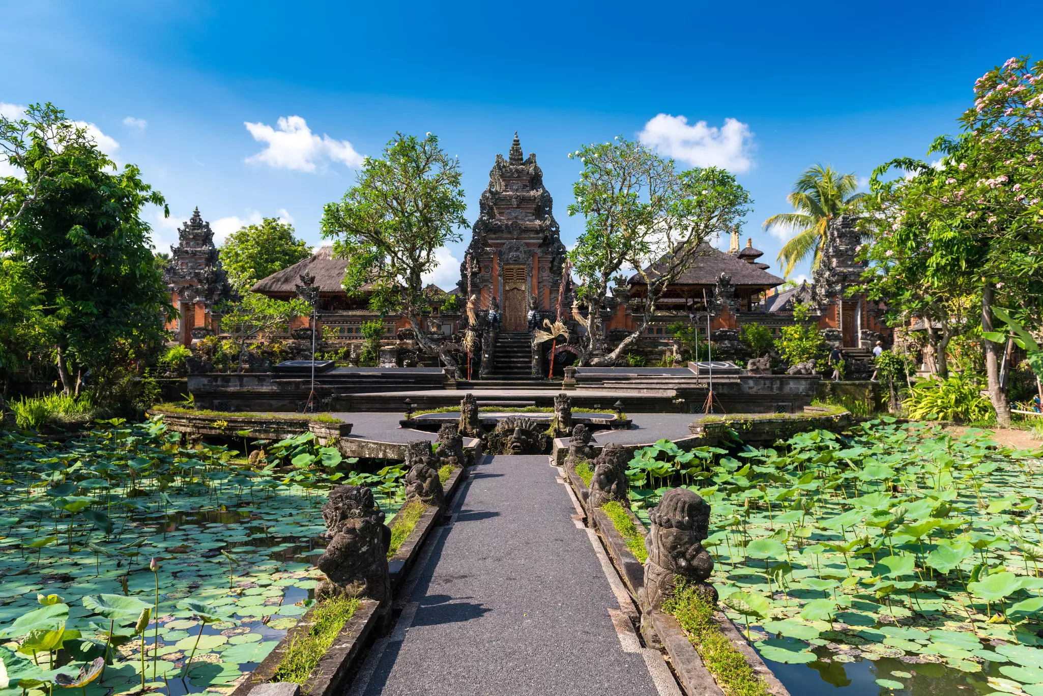 Lotus ponds in front of Pura Taman Saraswati Temple in Ubud, Bali.
