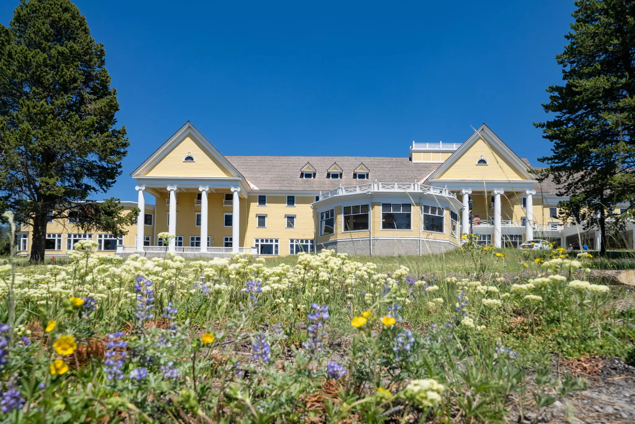 Wildflowers bloom outside a grand hotel with a yellow wooden frontage