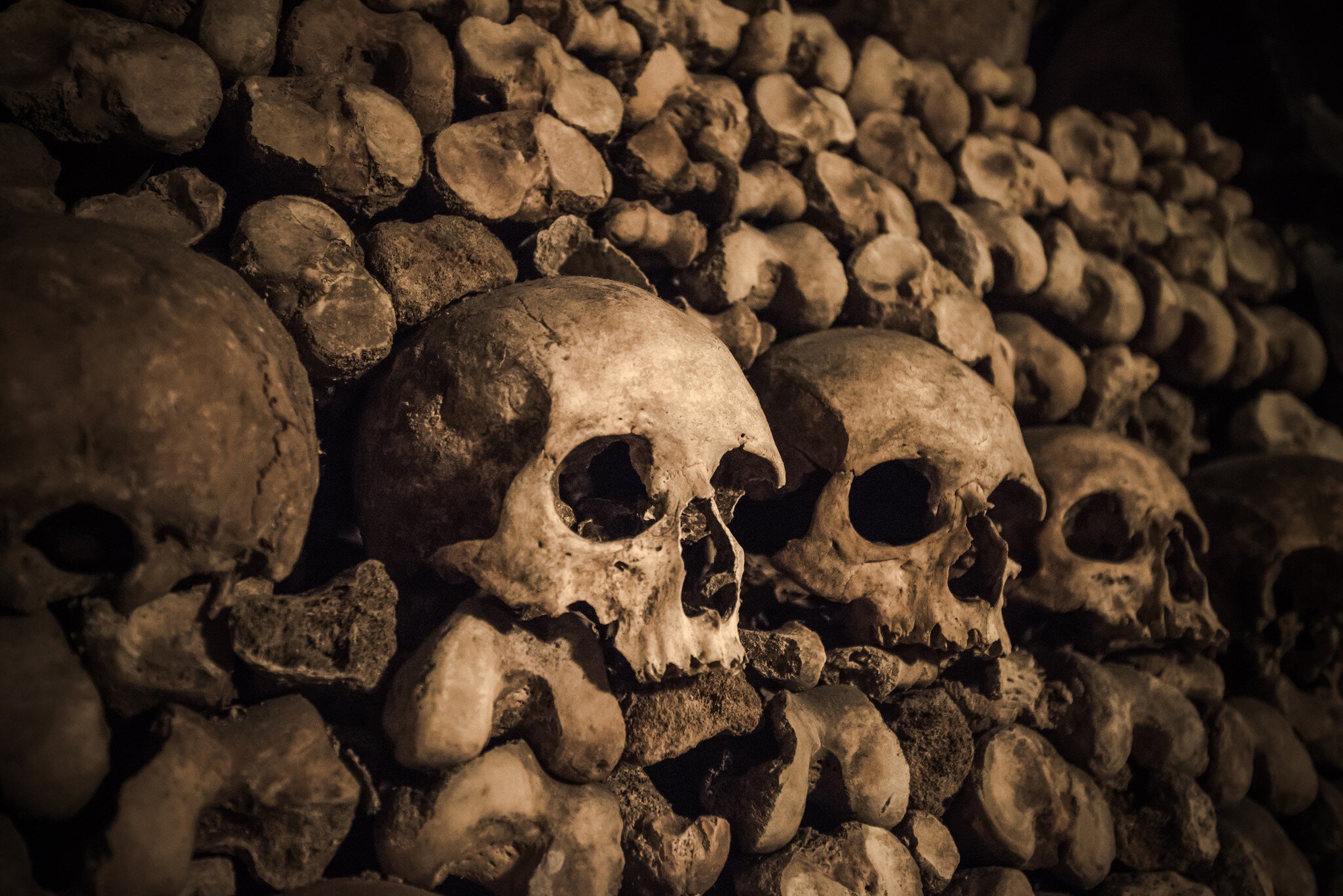 Skulls and bones in Paris Catacombs