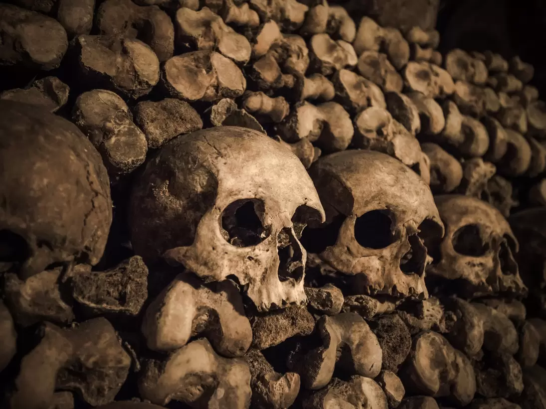 Skulls and bones in Paris Catacombs