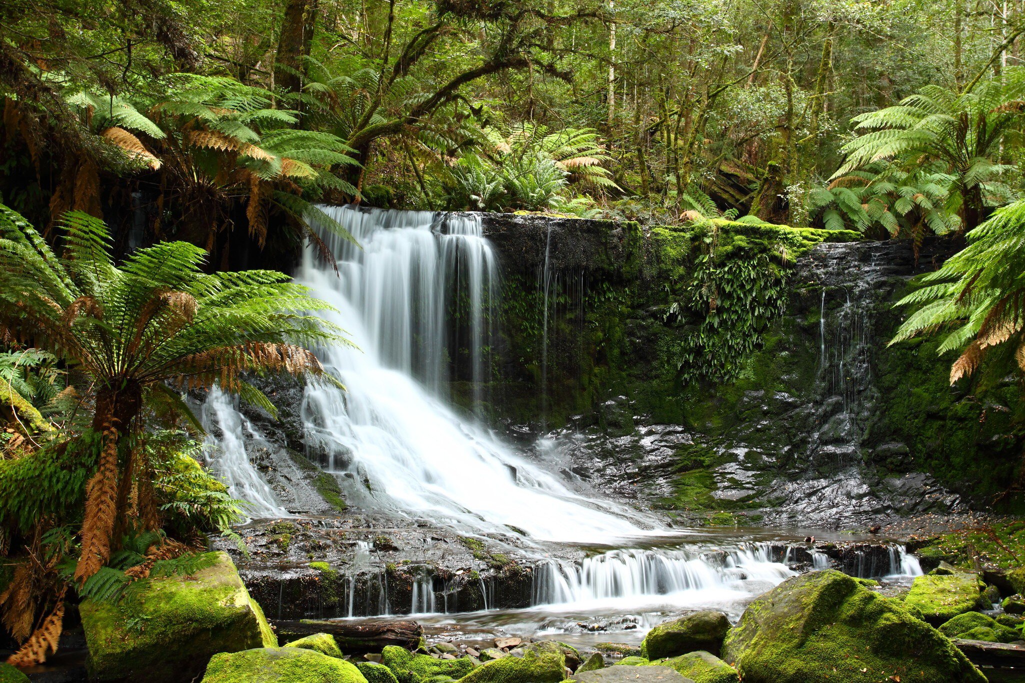 Long exposure of the flowing water at Russel Falls in the Mt Field National Park. Tasmania, Australia.