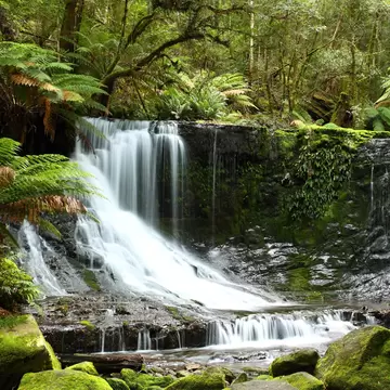 Long exposure of the flowing water at Russel Falls in the Mt Field National Park. Tasmania, Australia.