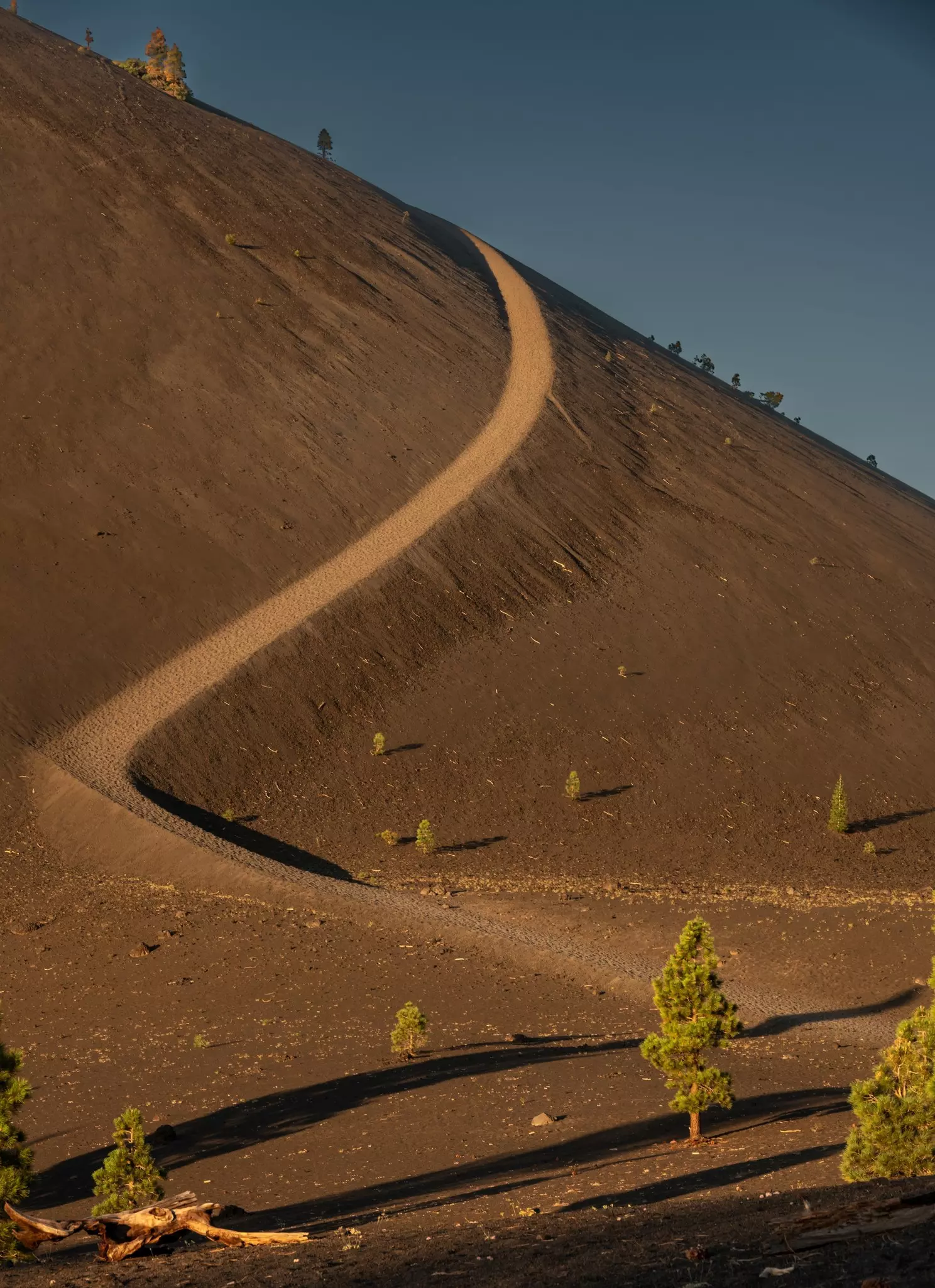 A path through a barren landscape with a few freestanding trees winds up a steep incline in California.