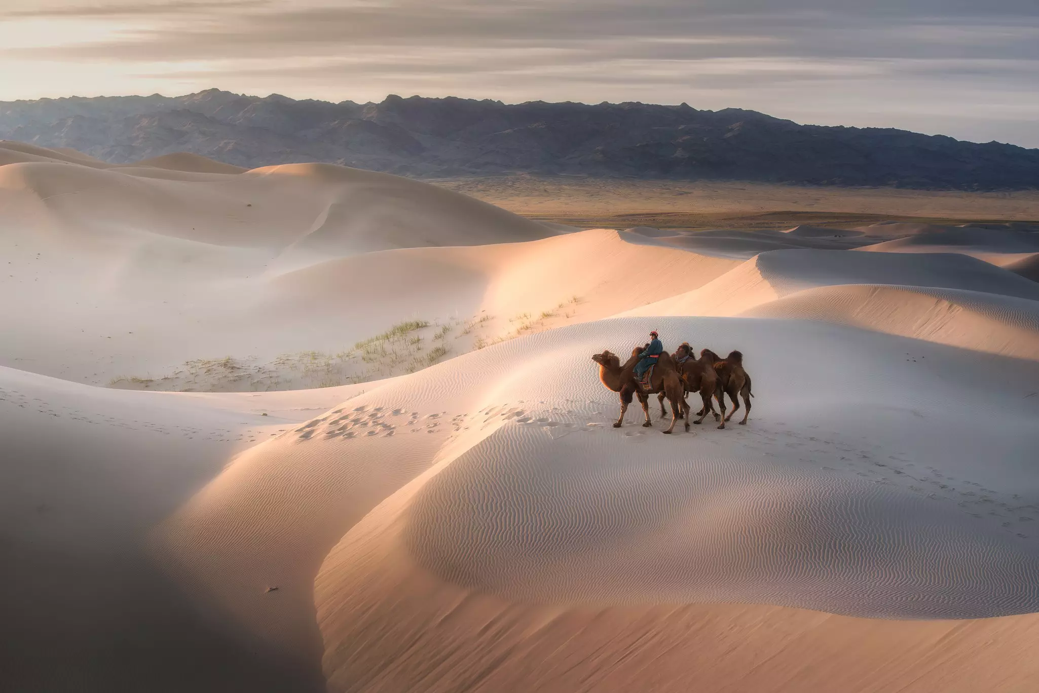 Take a camel trek across the sand dunes in parts of the Gobi Desert © SinghaphanAllB / Getty Images