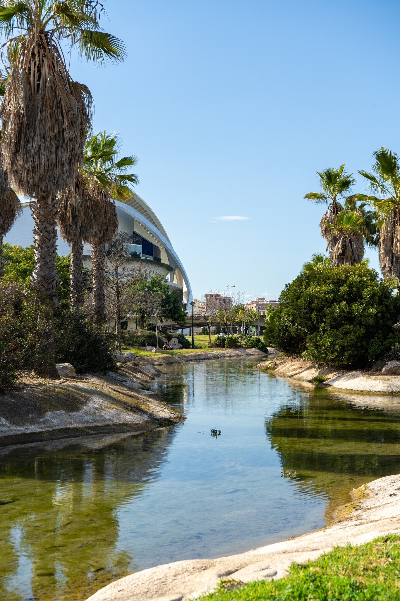 View of a pond in the Jardín del Turia in Valencia, Spain.