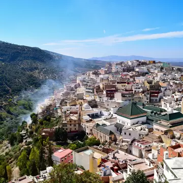 Pale hillside town with green-tiled mosque roofs and a minaret, wooded slopes and smoke drifting up, Moulay Idriss, Morocco.