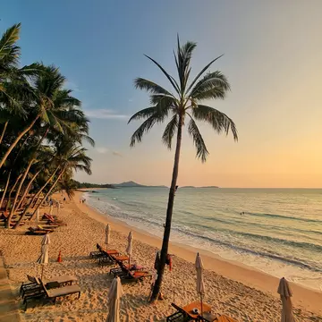 View at beach with palm trees and beach chair, Chaweng Beach, Samui District, Surat Thani, Thailand. 