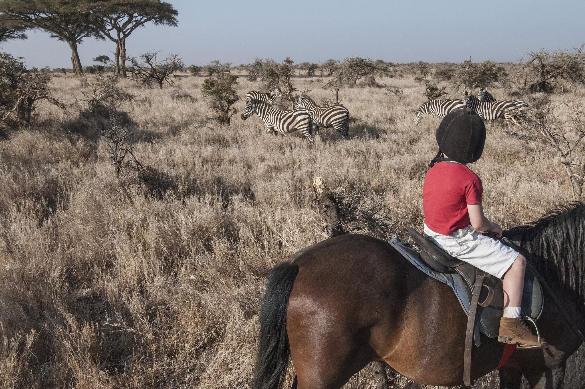 Kenya's incredible wildlife is endlessly fascinating to kids of all ages © Chris Minihane / Getty Images
