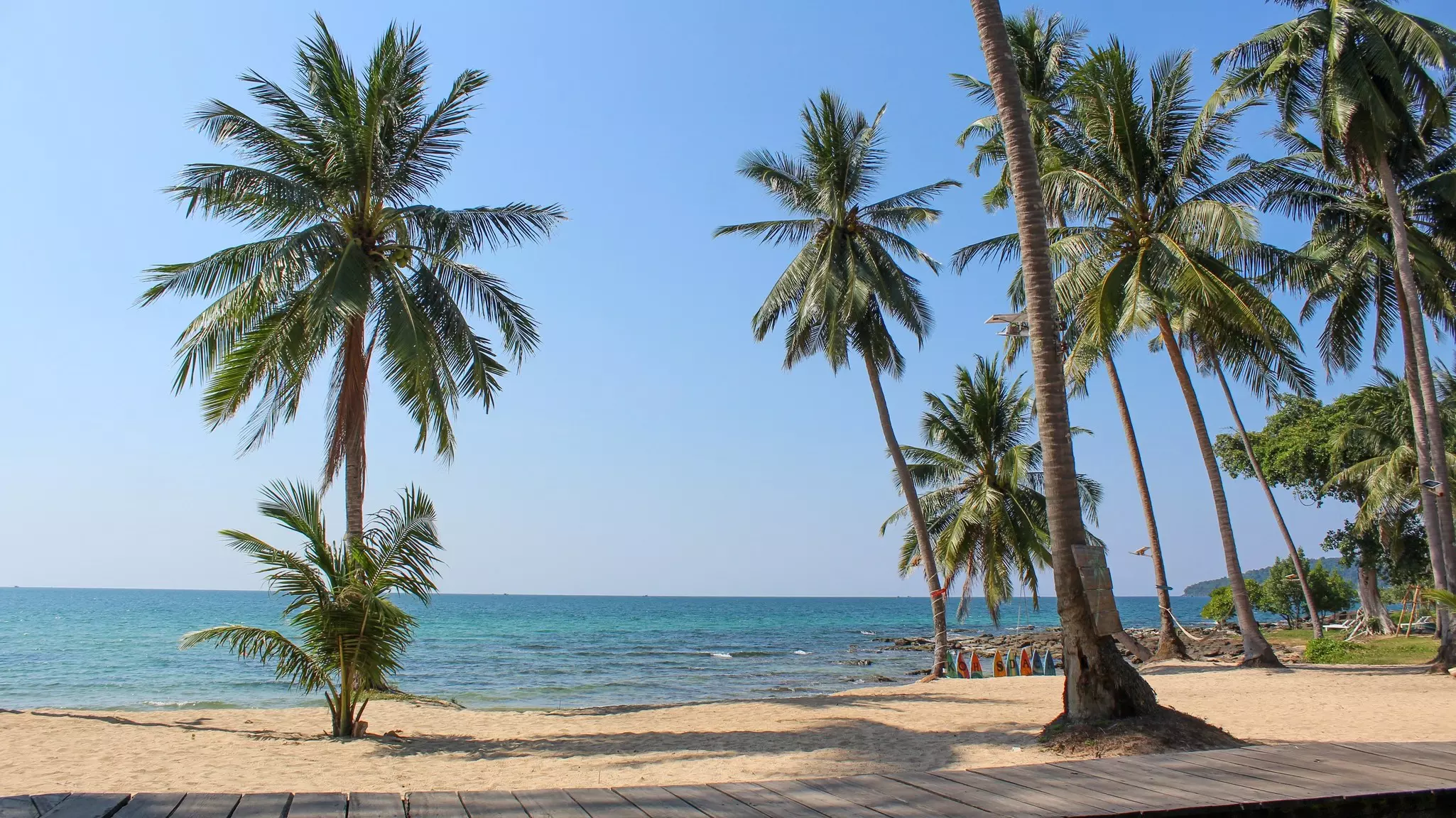 A boardwalk by a sandy beach with palm trees and blue water.